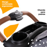 Sistema de Viaje Dumma
