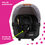 Sistema de Viaje Dumma