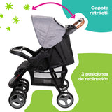 Sistema de Viaje Dumma
